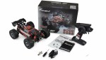 Hyper GO radiografische bestuurbare Truggy 4WD 1 op 16 RTR